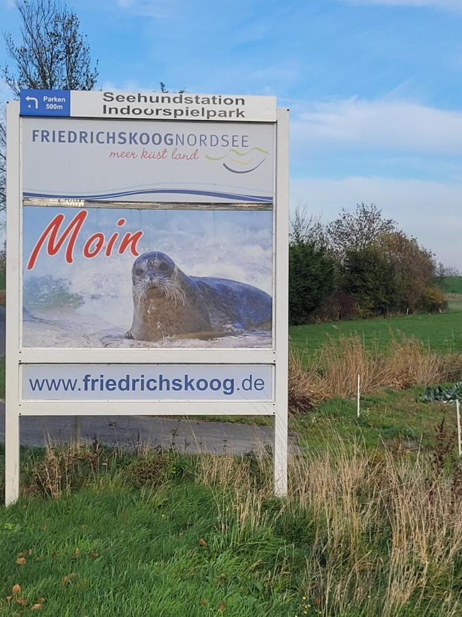 Deichwohnung Strandweg 7 Фридрихског-Шпитце Экстерьер фото